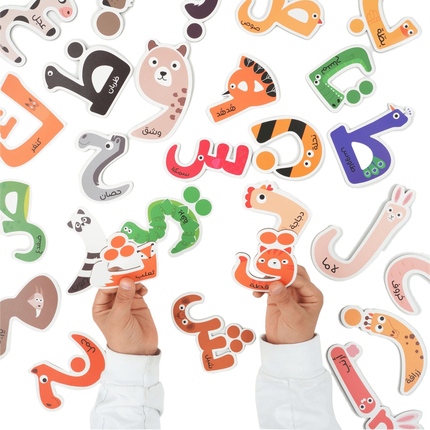 Arabic Animal Magnetic Letters Set - Educational Arabic Alphabet with Delightful Animal Shapes - 28 Magnetic Letters Learning & Education Toys