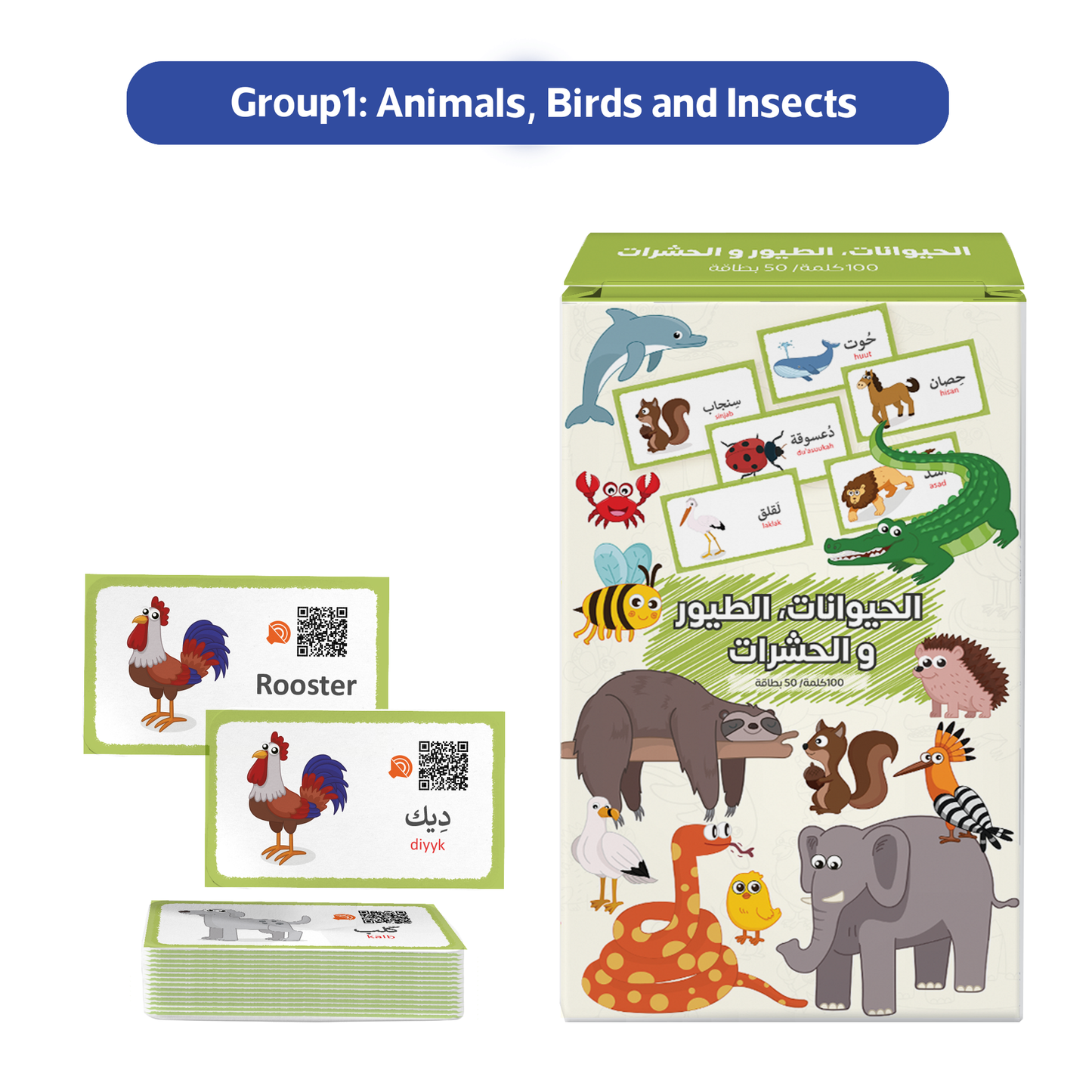 Zedne My First 300 Bilingual English Arabic Flash Cards for kids with Pictures & Online Audio Jumbo Learning Box of 6 Sets Learn Animals, Fruits, Vehicles & Everyday Items Kids learn English & Arabic