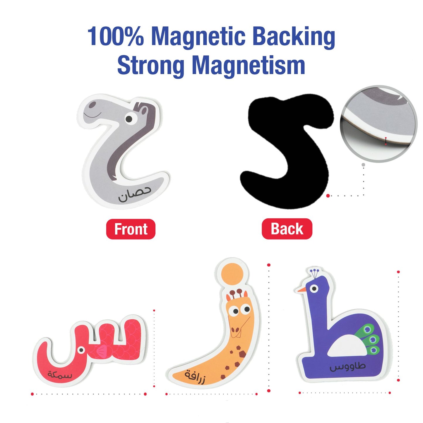 Arabic Animal Magnetic Letters Set - Educational Arabic Alphabet with Delightful Animal Shapes - 28 Magnetic Letters Learning & Education Toys