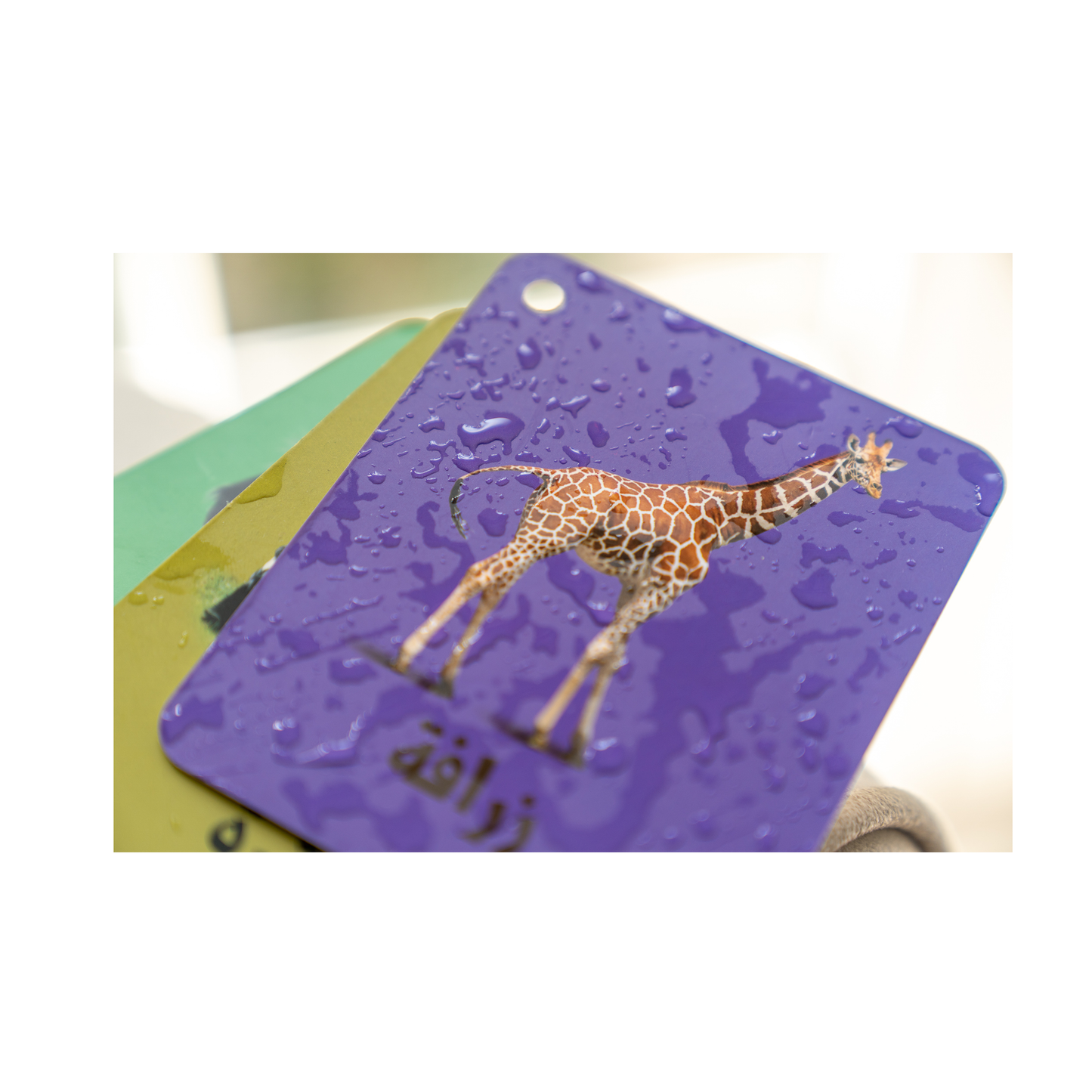 بطاقات زدني التعليمية سميكة ومضادة للماء فيها 4 مجموعات و 48 بطاقة بوجهين - 96 صورة - الأحرف العربية - حيوانات - خضار وفواكه - الأرقام من 1 إلى 10 - مناسبة للأطفال سنة وأكبر