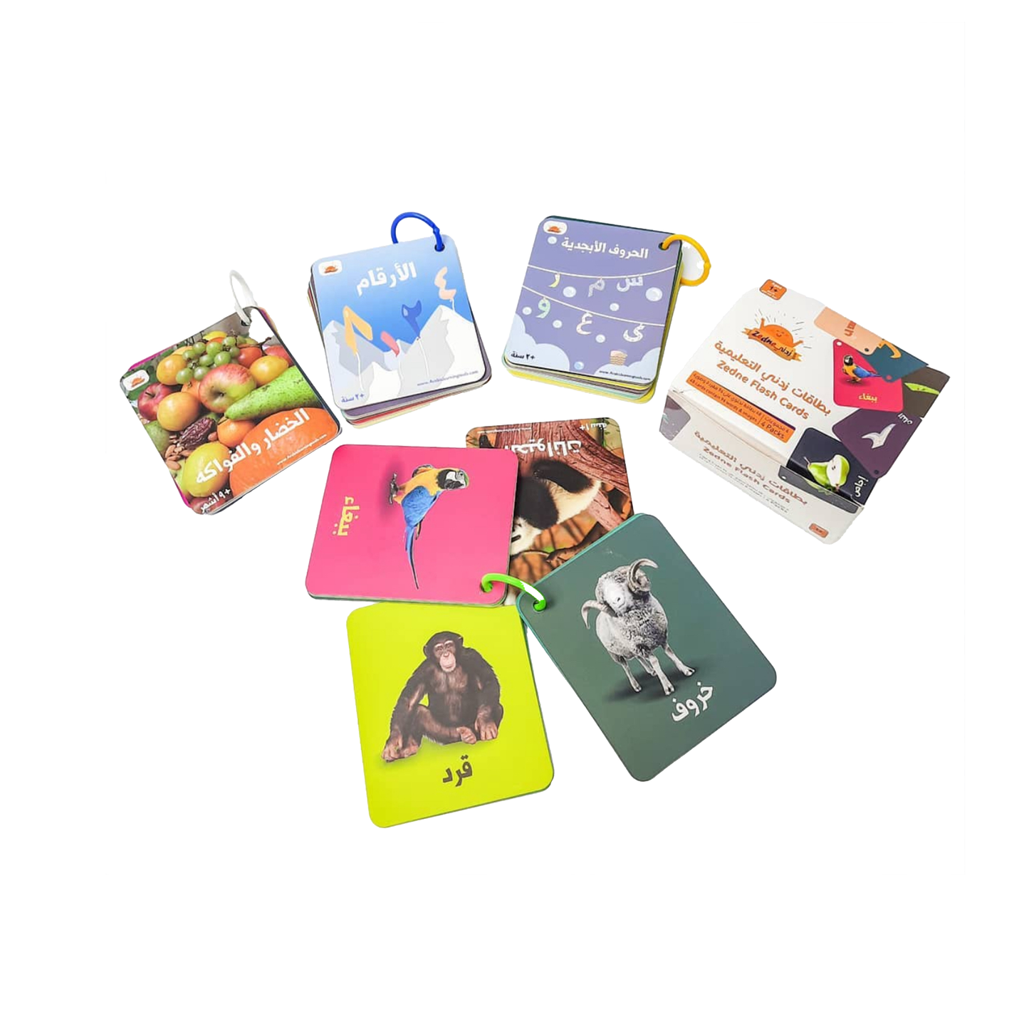 بطاقات زدني التعليمية سميكة ومضادة للماء فيها 4 مجموعات و 48 بطاقة بوجهين - 96 صورة - الأحرف العربية - حيوانات - خضار وفواكه - الأرقام من 1 إلى 10 - مناسبة للأطفال سنة وأكبر