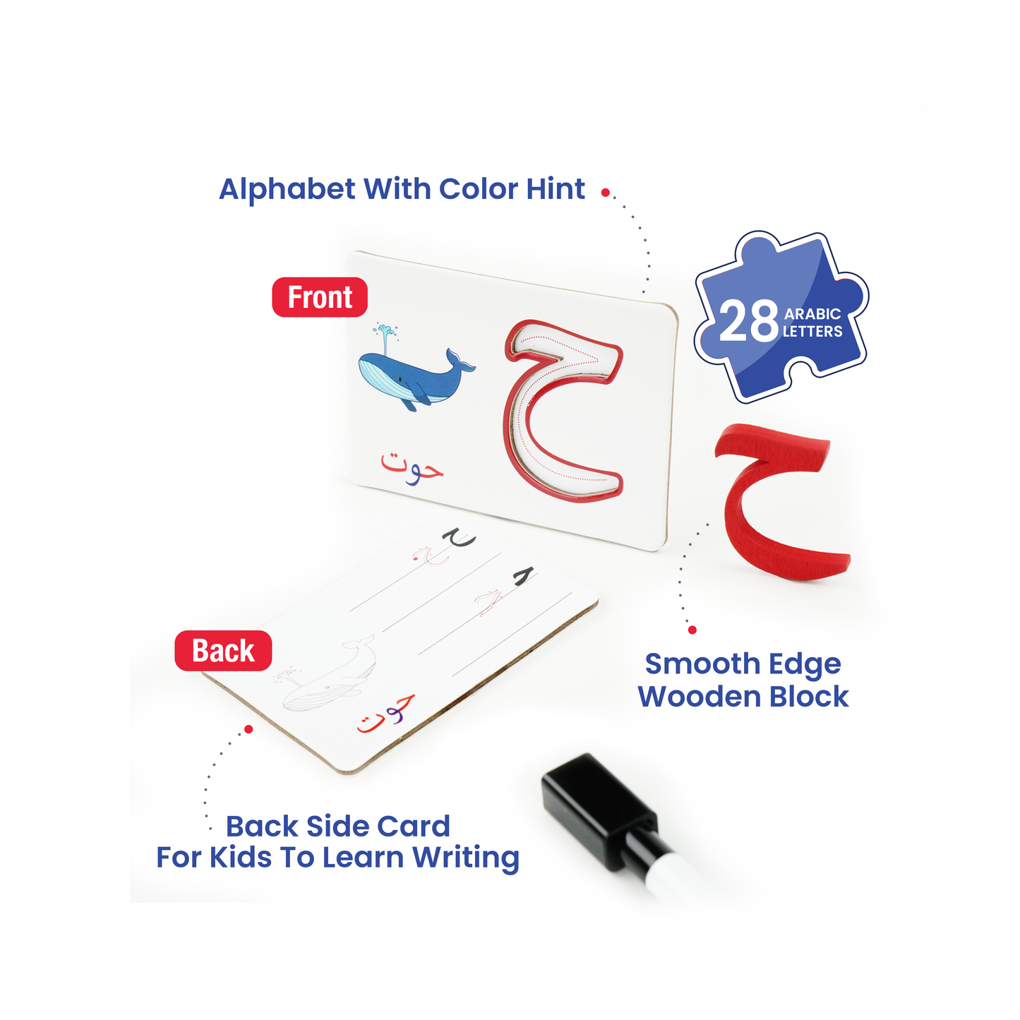Zedne Arabic Alphabet Matching Cards Basic Level - Interactive Learning Toy with 28 Double-Faced Cards, 28 Wooden Letters, & Pen - Arabic Learning Ideal for Homeschooling and Kindergarten Education